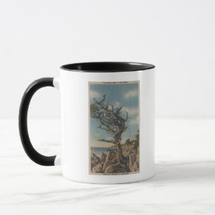 Caneca Monterey, CA - árvore velha da bruxa em 17 milhas