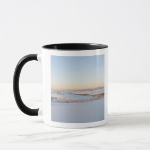 Caneca Monumento Nacional White Sands, Dunas Transversais