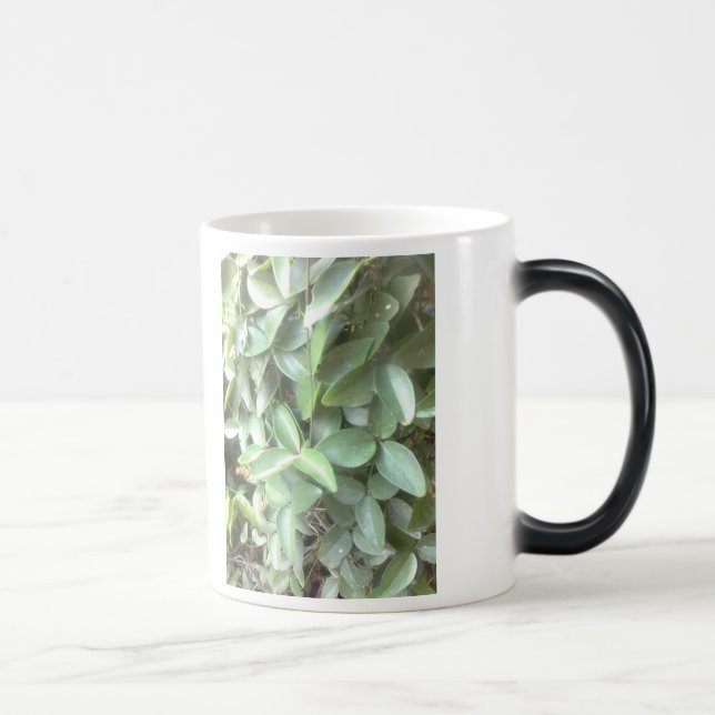 Caneca morphing da foto (Direita)