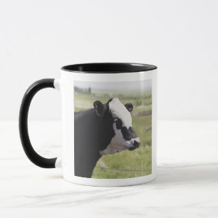 Caneca Moseleigh, Alberta, Canadá