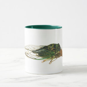 Caneca Mug anual de Cicada de Linne (Neotibicen linnei)