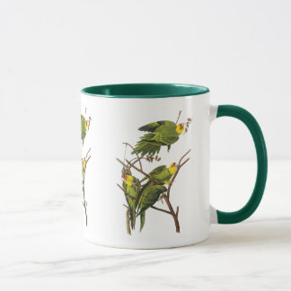 Caneca Mug: periquito - de John Audubon
