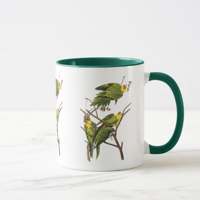 Caneca Mug: periquito - de John Audubon (Direita)