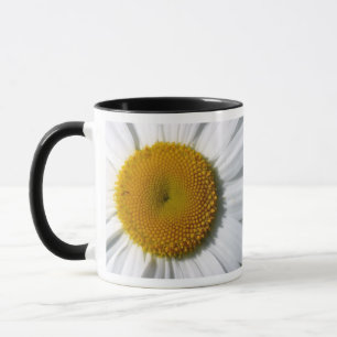 CANECA MÚGS DE CAFÉ DAISY - ITENS DE KITCHEN DE DESIGNER
