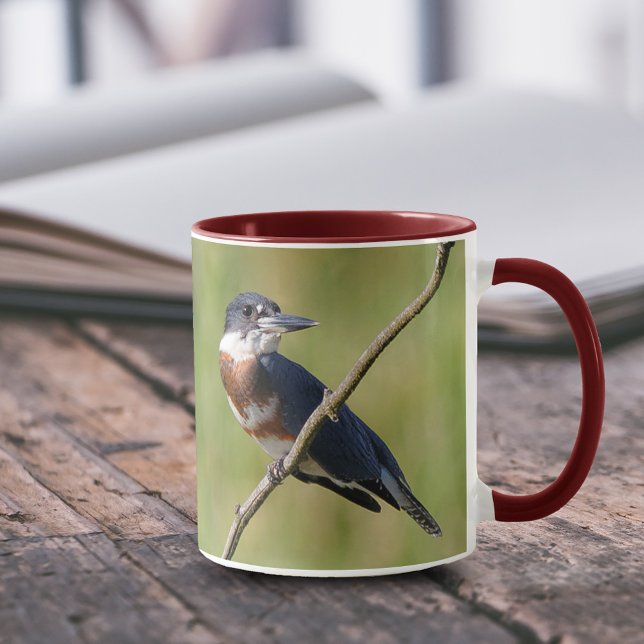 Caneca Mulher Beliscada Kingfisher Fora num Limb (Femaled Belted Kingfisher on a Branch 11 oz Coffee Mug Cover Photo.)