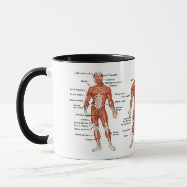Caneca Muscle Diagram medgifts101 (Esquerda)
