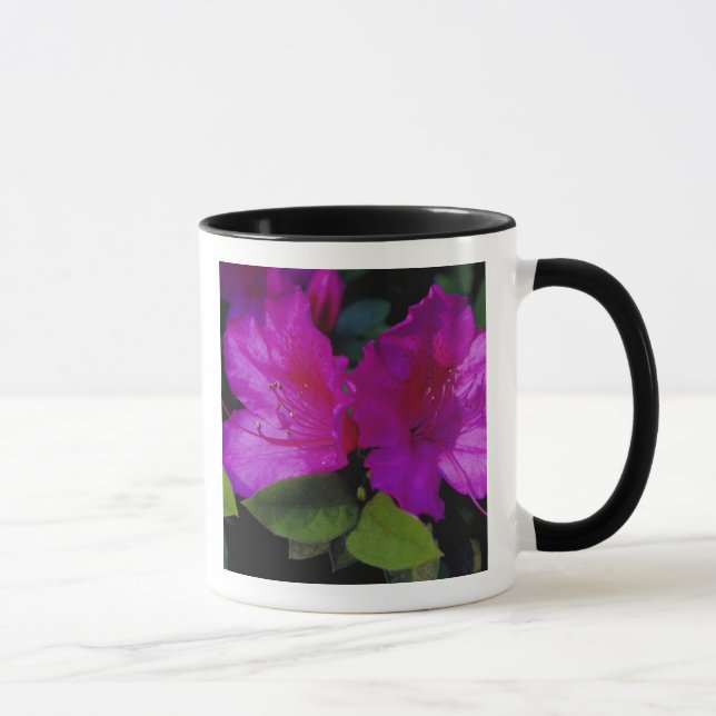 Caneca N.A. EUA, Geórgia, Savannah. Azaléia em flor. (Direita)