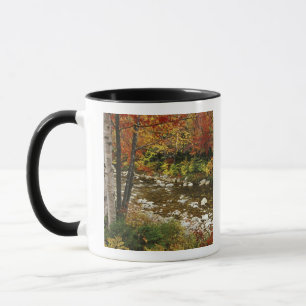 Caneca N.A., EUA, New Hampshire, White Mountains,