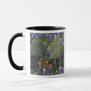 Caneca N.A., EUA, Texas, Cactus cercado por