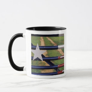 Caneca N.A., EUA, Texas, Lago Buchanan, bandeira do Texas