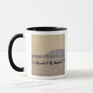Caneca N.A., EUA, Washington, Ilhas San Juan Orca