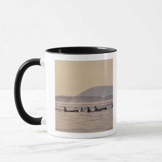 Caneca N.A., EUA, Washington, Ilhas San Juan Orca (Esquerda)
