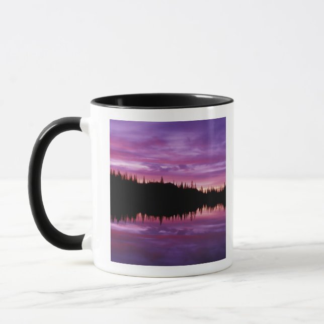 Caneca N.A., EUA, Washington, Mt. Rainier Nacional 2 (Esquerda)