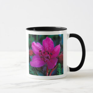 Caneca NA, EUA, Alasca, Ilhas Aleutas, Flores Silvestres