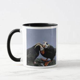 Caneca NA, EUA, Alasca, Mar de Bering, Pribilofs. Penacho