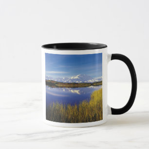 Caneca NA, EUA, Alaska, Denali NP Mt. McKinley em
