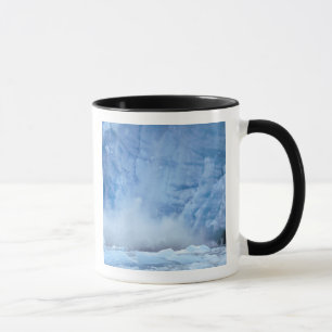 Caneca NA, EUA, Alaska, Sudeste do Alaska, Tracy Arm,