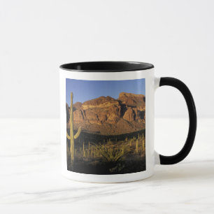 Caneca NA, EUA, Arizona. Parque Nacional do Cacto Organ P