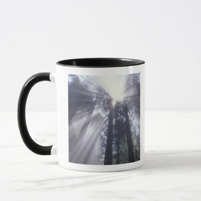 Caneca NA, EUA, Califórnia. Del Norte Coast State 2 (Esquerda)