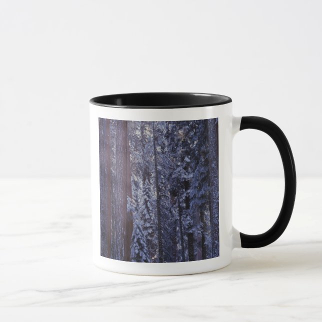 Caneca NA, EUA, Califórnia. Parque Nacional Sequoia.2 (Direita)
