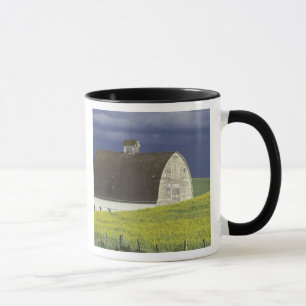 Caneca NA, EUA, Idaho, ao sul de Genesse, campo de canola