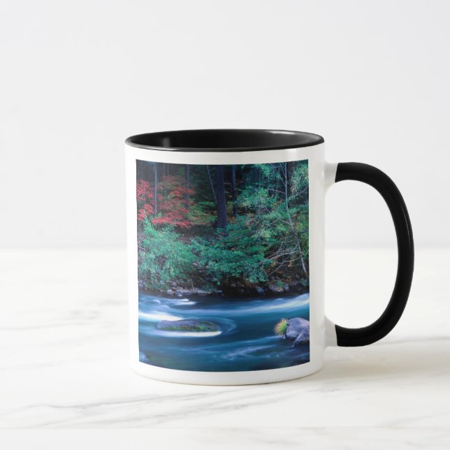 Caneca NA, EUA, Oregon, Folhagem de outono em North Umpqu (Direita)