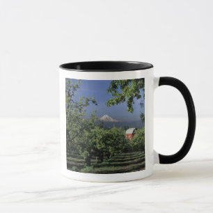 Caneca NA, EUA, Oregon, perto de Hood River Mt. Hood com