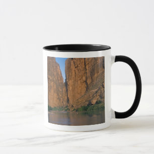 Caneca NA, EUA, Texas, Big Bend National Park.Rio