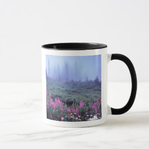 Caneca NA, EUA, Washington, Foggy Alpine Meadow, Mt.