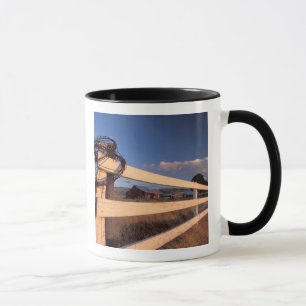Caneca NA, EUA, Washington, perto de Walla Walla, cerca,