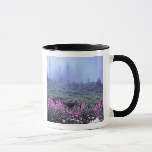 Caneca NA, EUA, Washington, Prado Alpino Nebuloso, Mt. (Direita)
