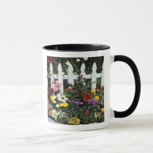 Caneca NA, EUA, Washington, Sammamish, Cerca branca