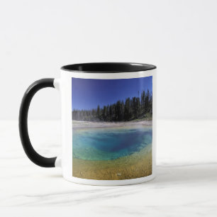 Caneca NA, EUA, Wyoming, Parque Nacional de Yellowstone.