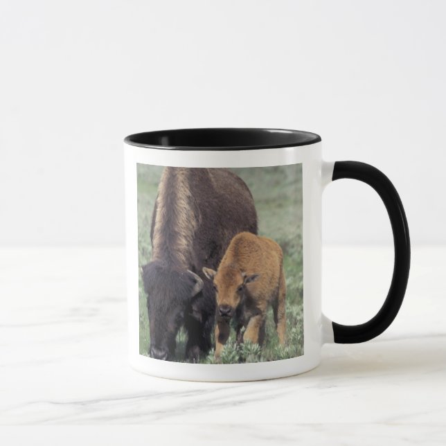 Caneca NA, EUA, Wyoming, Parque Nacional de Yellowstone. (Direita)