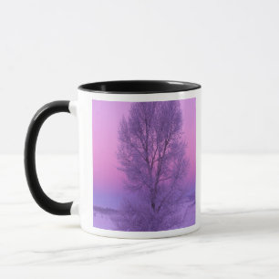 Caneca NA, EUA, Wyoming, Yellowstone NP, Paisagem