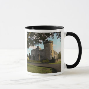 Caneca Na Irlanda, a entrada lateral do Castelo Dromoland