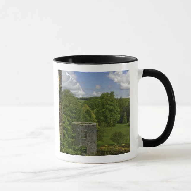 Caneca Na Irlanda, no Castelo de Blarney, uma torre de pe (Direita)