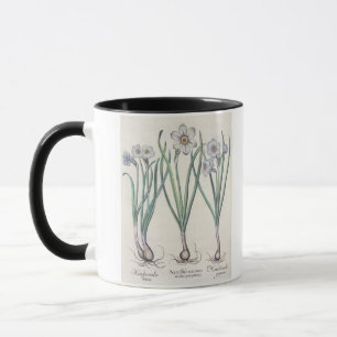 Caneca Narciso: purpureus do medio do maximus