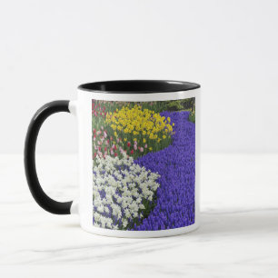 Caneca Narcisos e Jacintos de Uva, Keukenhof 2