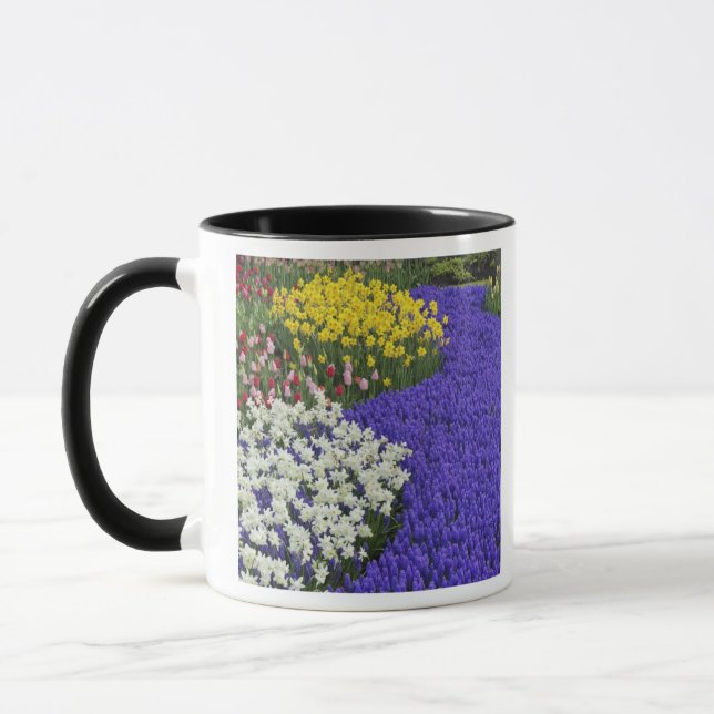 Caneca Narcisos e Jacintos de Uva, Keukenhof 2 (Esquerda)