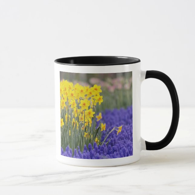 Caneca Narcisos e Jacintos de Uva, Keukenhof 3 (Direita)