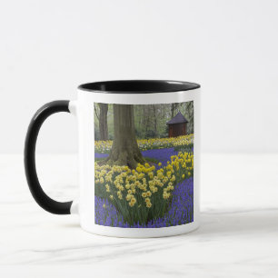Caneca Narcisos, jacintos e jardim de tulipas,