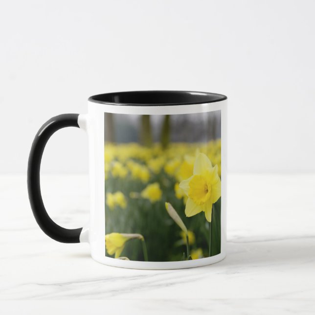 Caneca Narcisos (RF) (Esquerda)