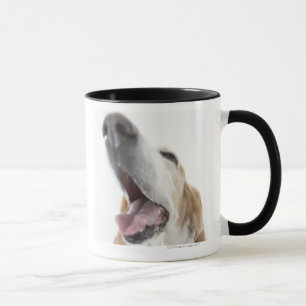 Caneca Nariz de s do cão ', fim-acima