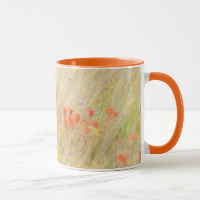 Caneca Nature Conservancy | Ilhas San Juan, WA (Direita)