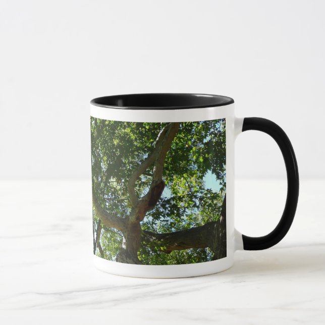 Caneca Natureza Verde da Árvore Sycamore (Direita)