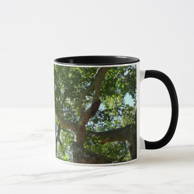 Caneca Natureza Verde da Árvore Sycamore (Direita)