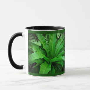 Caneca Nest Fern de Bird