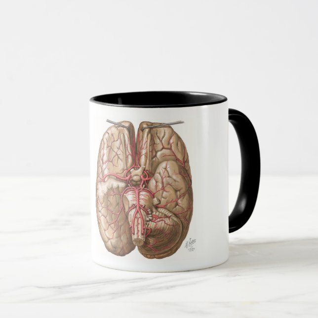 Caneca Netter Basal View of Brain - Mug (Frente Esquerda)