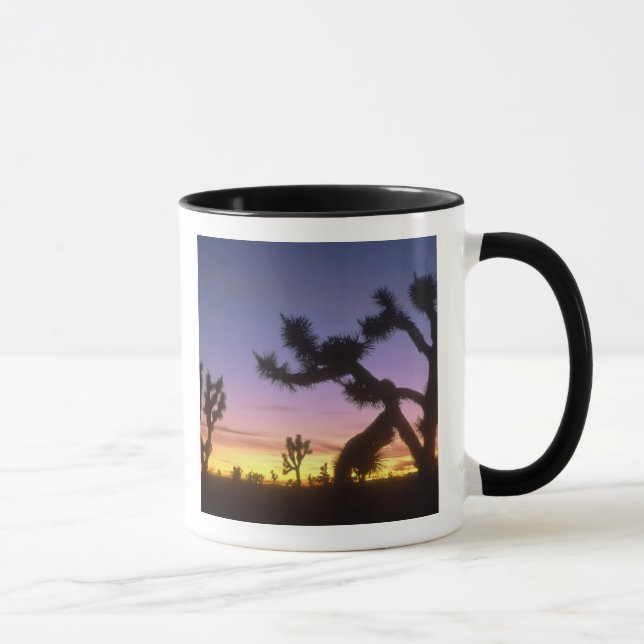 Caneca NEVADA. EUA. Árvores de Josué Yucca brevifolia) (Direita)